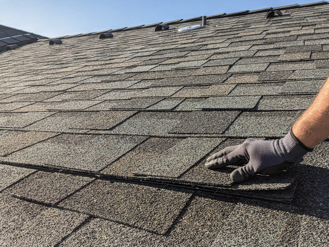 Shingle roof